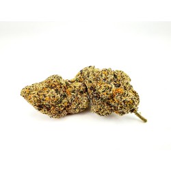 Red Gelato